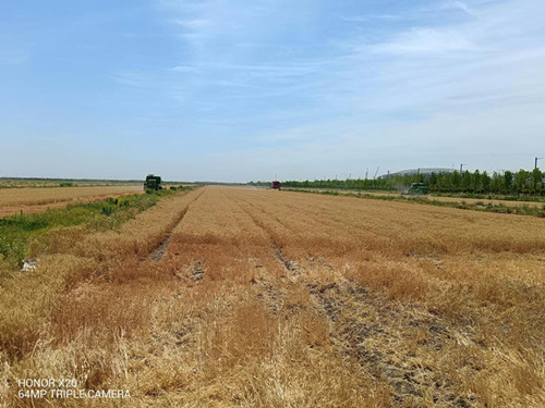 /gb2312/qishiyegonghui/12348.html